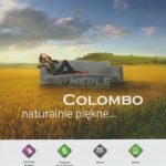 COLOMBO_LOGO